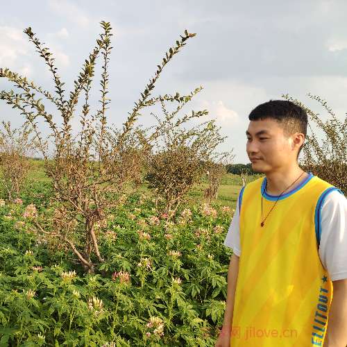 37岁岁广东单身帅哥 - 威海吉缘网